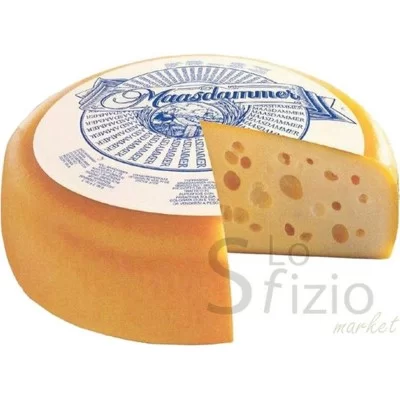 Maasdammer Dutch Holland Cheese