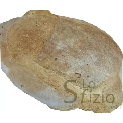 LE BONTA TRECCHINESI PANE TRECCHINA POTENZA