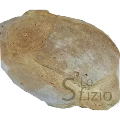 Le Bontà Trecchinesi Traditional Bread from Potenza