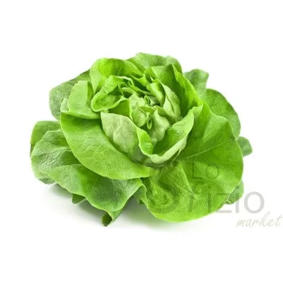 Fresh Local Lettuce 1pc