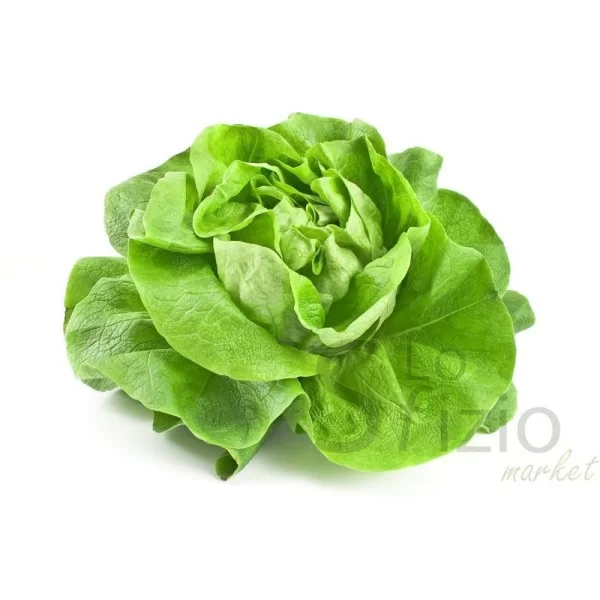 Fresh Local Lettuce 1pc