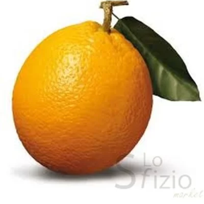 Blond Oranges