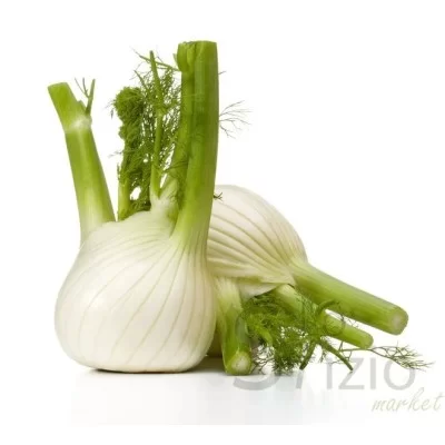 Fresh Fennel
