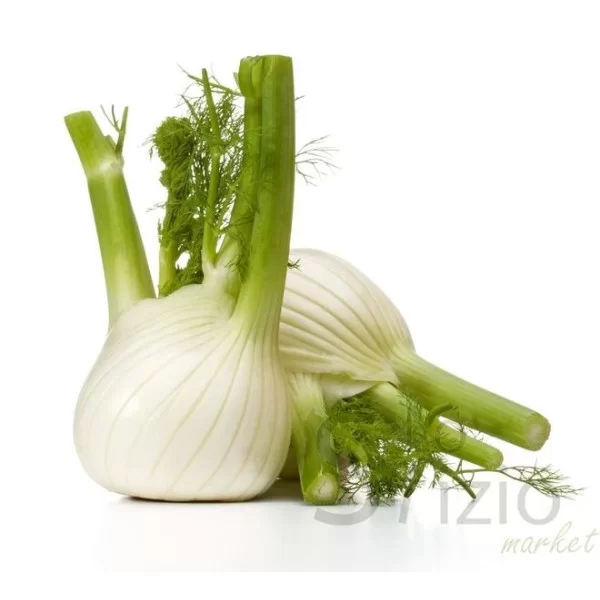 Fresh Fennel