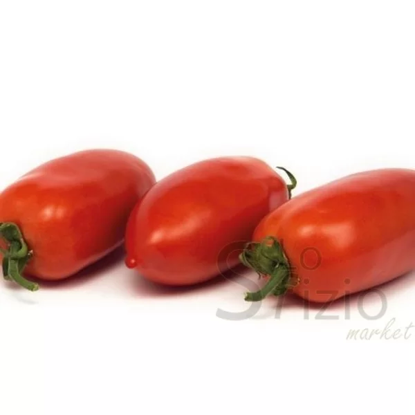 LONG TOMATOES ITALIA