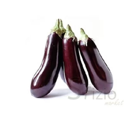 FRESH LONG EGGPLANTS
