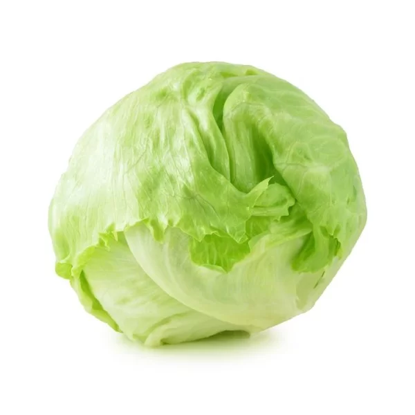 ICEBERG LETTUCE 1 PC