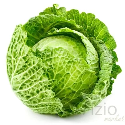 Fresh Savoy Cabbage
