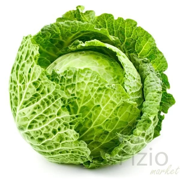 Fresh Savoy Cabbage