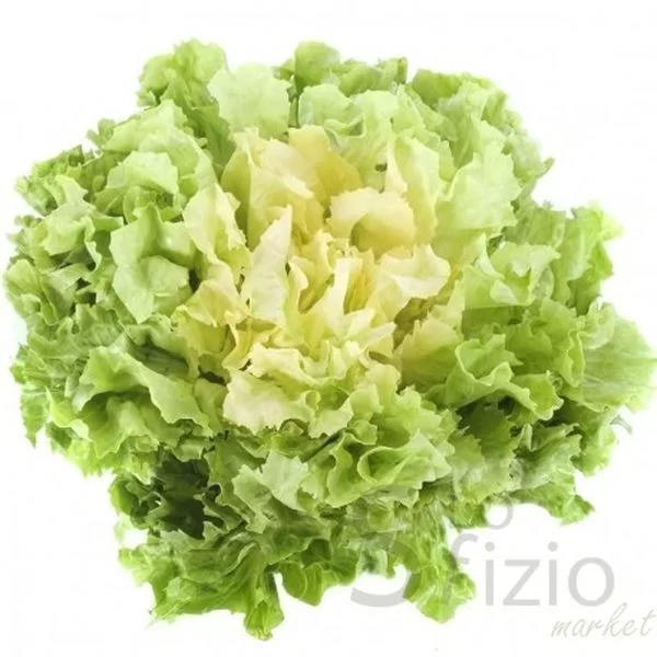 Fresh Escarole