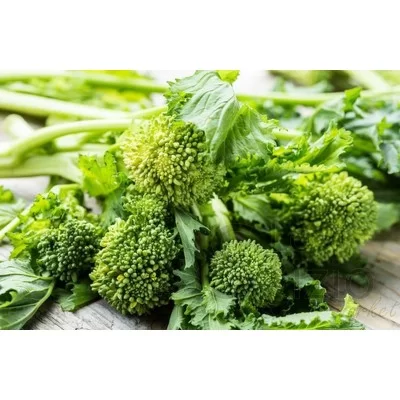 Turnip Tops Broccoli