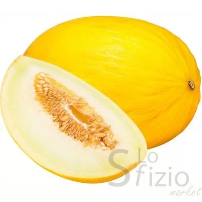 MELONE GIALLETTO