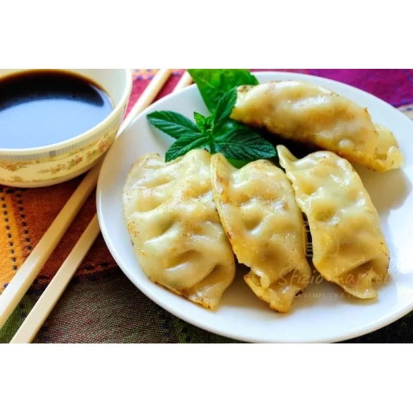 CHINESE CHICKEN AND VEGETABLE GYOZA DUMPLINGS 260G
