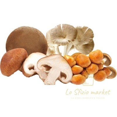 FREDDO BUONO MISTO FUNGHI CON PORCINI E GALLE 300G FREDDO BUONO MISTO FUNGHI
