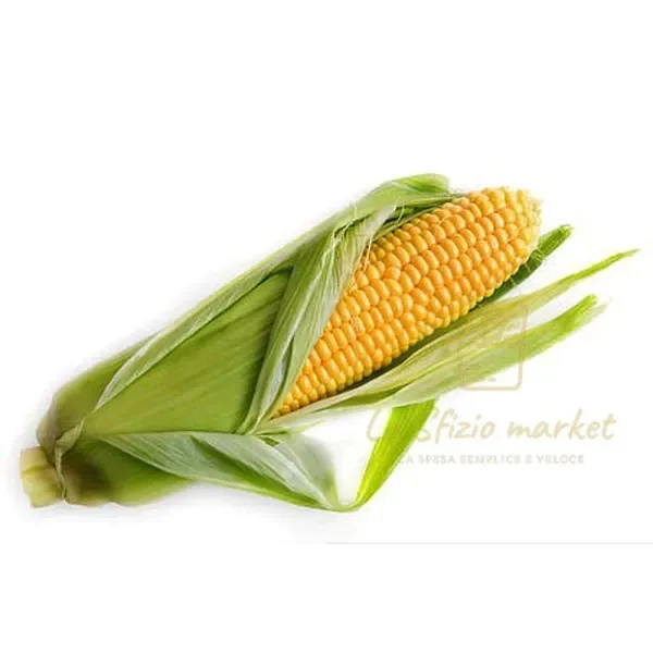 CORN ON THE COB