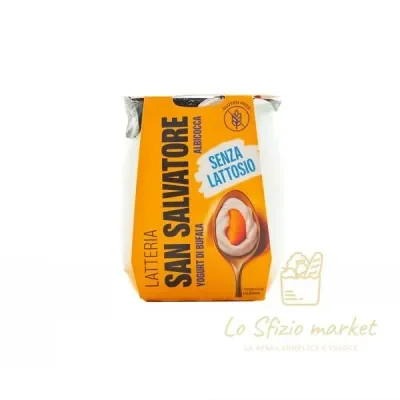 San Salvatore Apricot Yogurt 110g